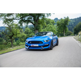 Châssis KW Ford Mustang 2.3 L EcoBoost