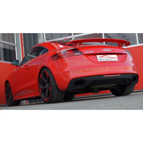 Friedrich  Audi TTRS 8J Quattro 2.5 L TFSI