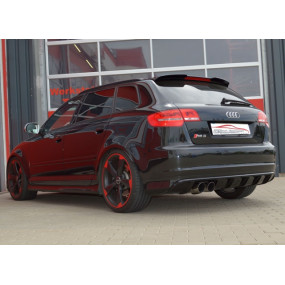 Friedrich Auspuffanlage Audi RS3 8P 2.5 TFSI